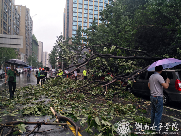 南院暴雨滑坡111.jpg
