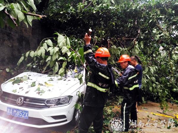 南院暴雨滑坡2 22.jpg