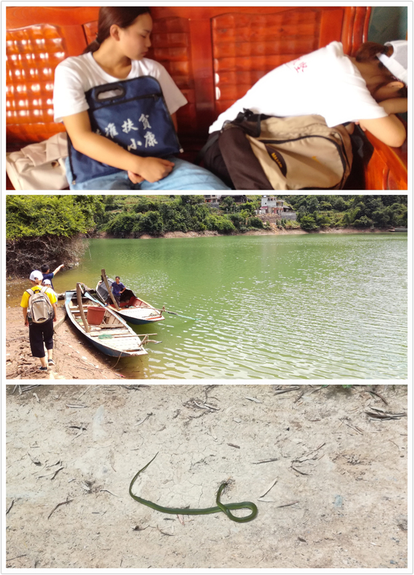 QQ图片20170725153242lo.jpg